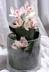 Dutluk iek siparii vermek  Cam yada mika vazo ierisinde tek dal orkide