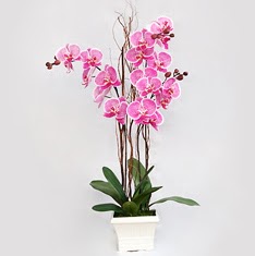 Demirlibahe iek yolla  2 adet orkide - 2 dal orkide