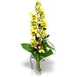 Hseyingazi iek gnderme  1 dal orkide iegi - cam vazo ierisinde -