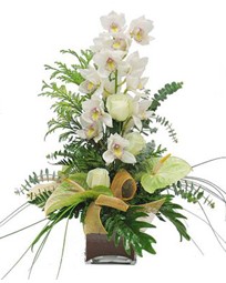 Glveren ieki maazas  cam vazo ierisinde 1 dal orkide iegi