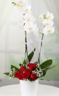 2 dall beyaz orkide 7 adet krmz gl Saimekadn iek siparii 