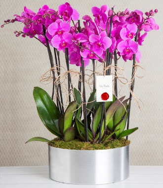 11 dall mor orkide metal vazoda Akdere nternetten iek siparii 
