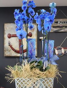 4 dall zel mavi orkide Yeilbayr gvenli kaliteli hzl iek 